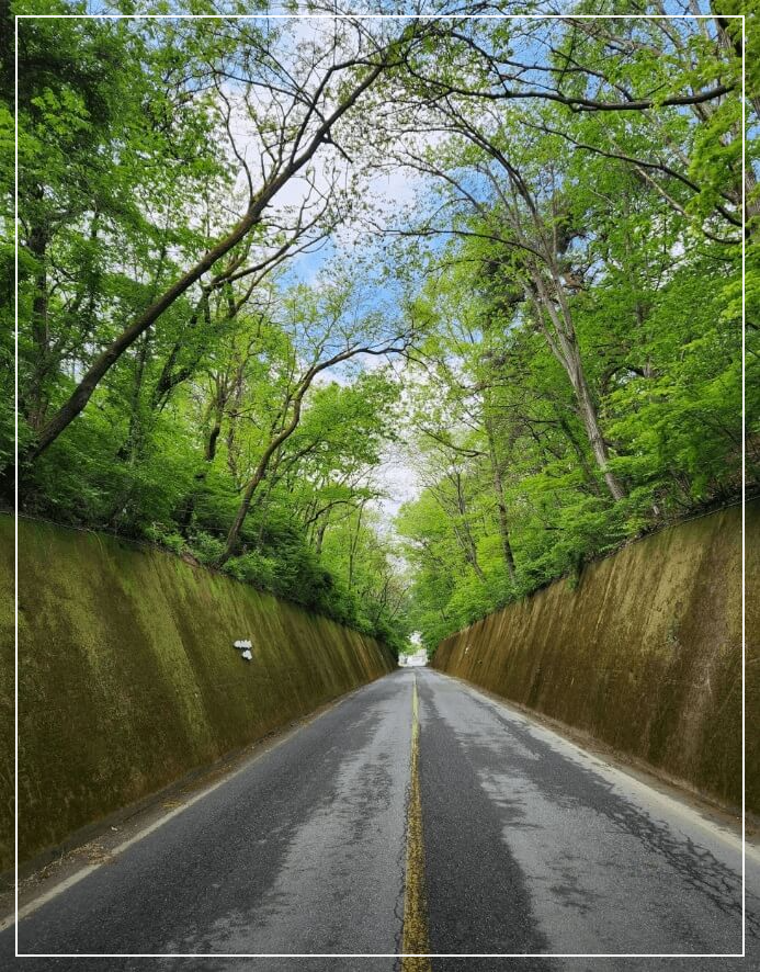 단양 가볼만한곳 베스트10 이끼터널