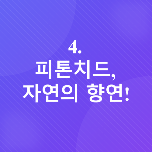새 가구 냄새 제거_8