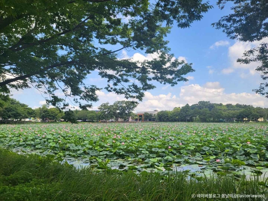 진주 가볼만한곳 베스트10