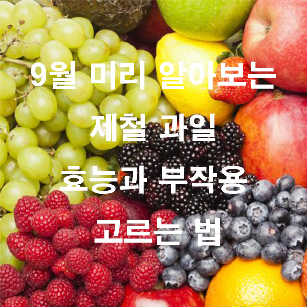 9월 미리 알아보는 제철 과일 효능과 부작용 고르는 법
