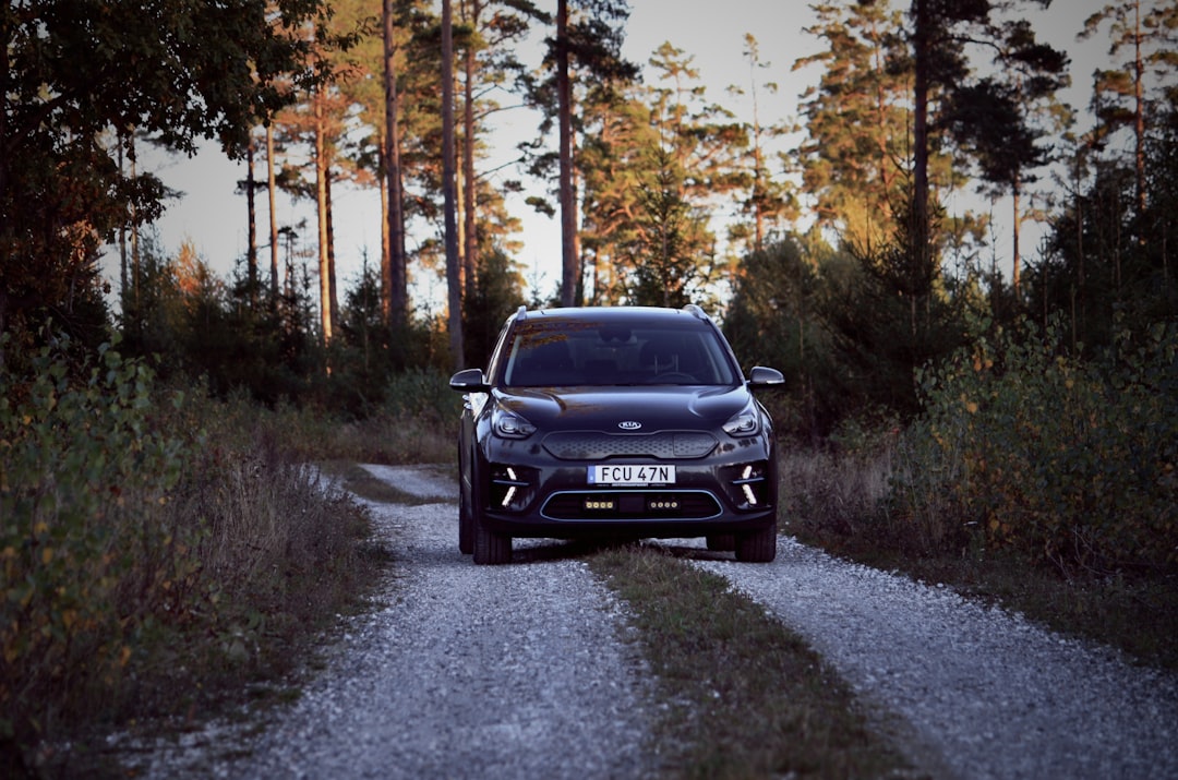 Niro