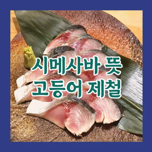 시메사바 뜻 고등어 제철