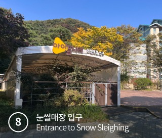 2025-2026 곤지암 리조트 스키장 시즌권 렌탈 할인 완벽 가이드 