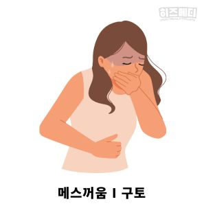 입덧 시기 증상 관리