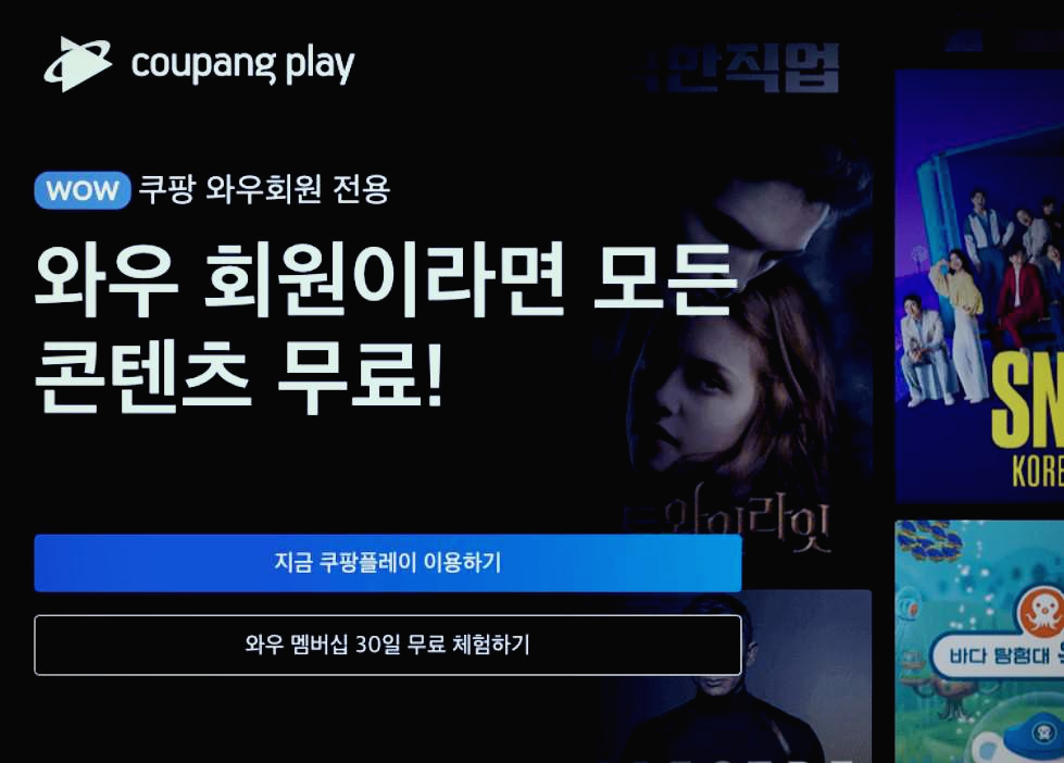 쿠팡플레이-tv연결