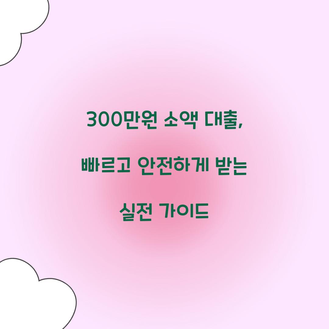 300만원 소액 대출