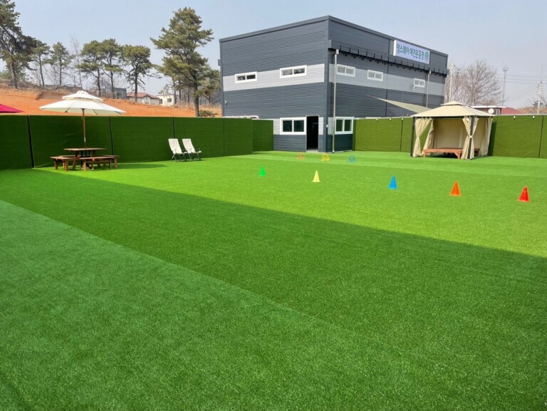 고양시 애견카페 추천 BEST 5 : 강아지와 함께 가기 좋은 실제 운영 카페 총정리