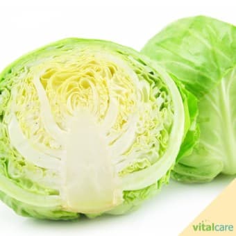 3월 제철 나물 & 채소 추천 BEST 8!!🌱