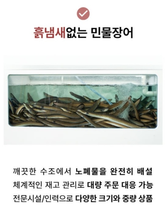 6시내고향-민물장어-화순-심가네수산시장