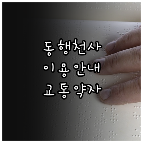 2025 안성시 교통약자 이동지원: ..