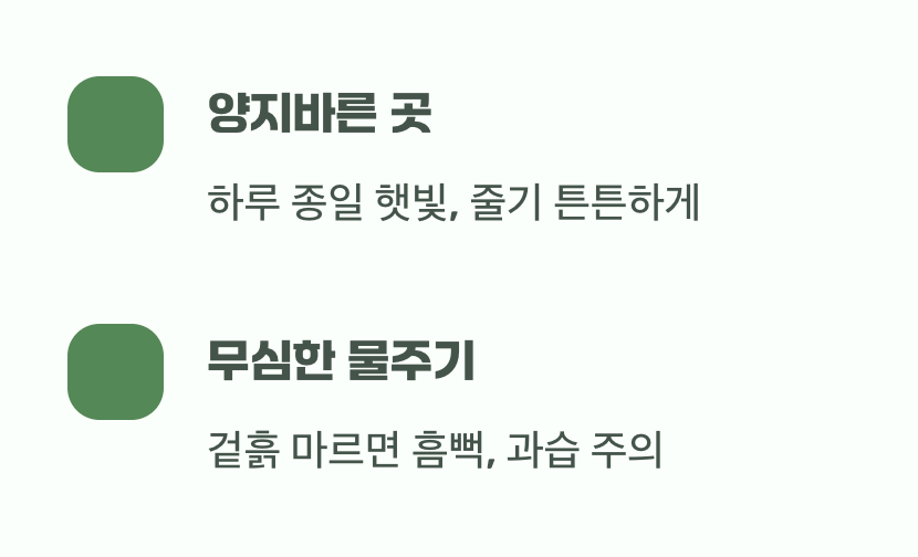 최고의 보약, 햇살과 적당한 무관심
