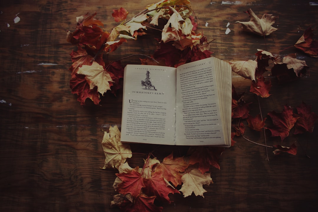novel