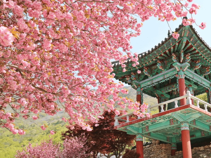 사천청룡사