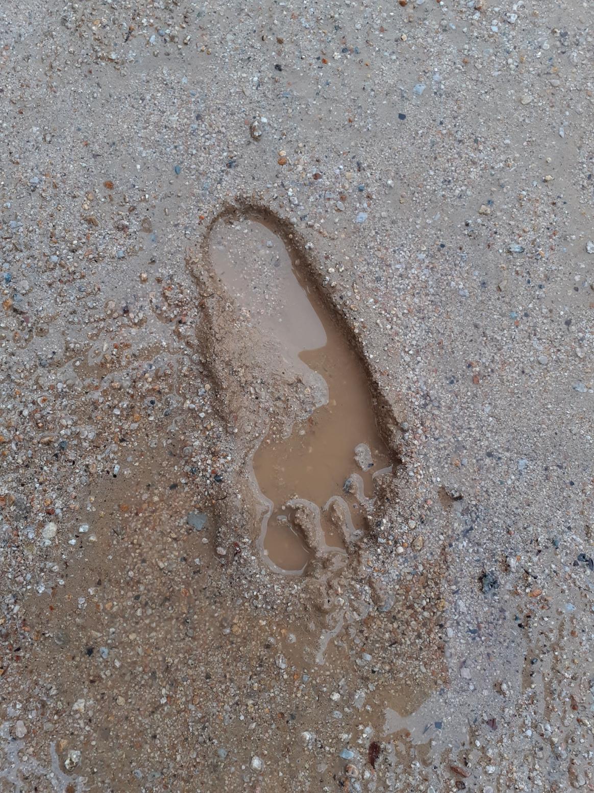 비오는 날 발바닥 도장