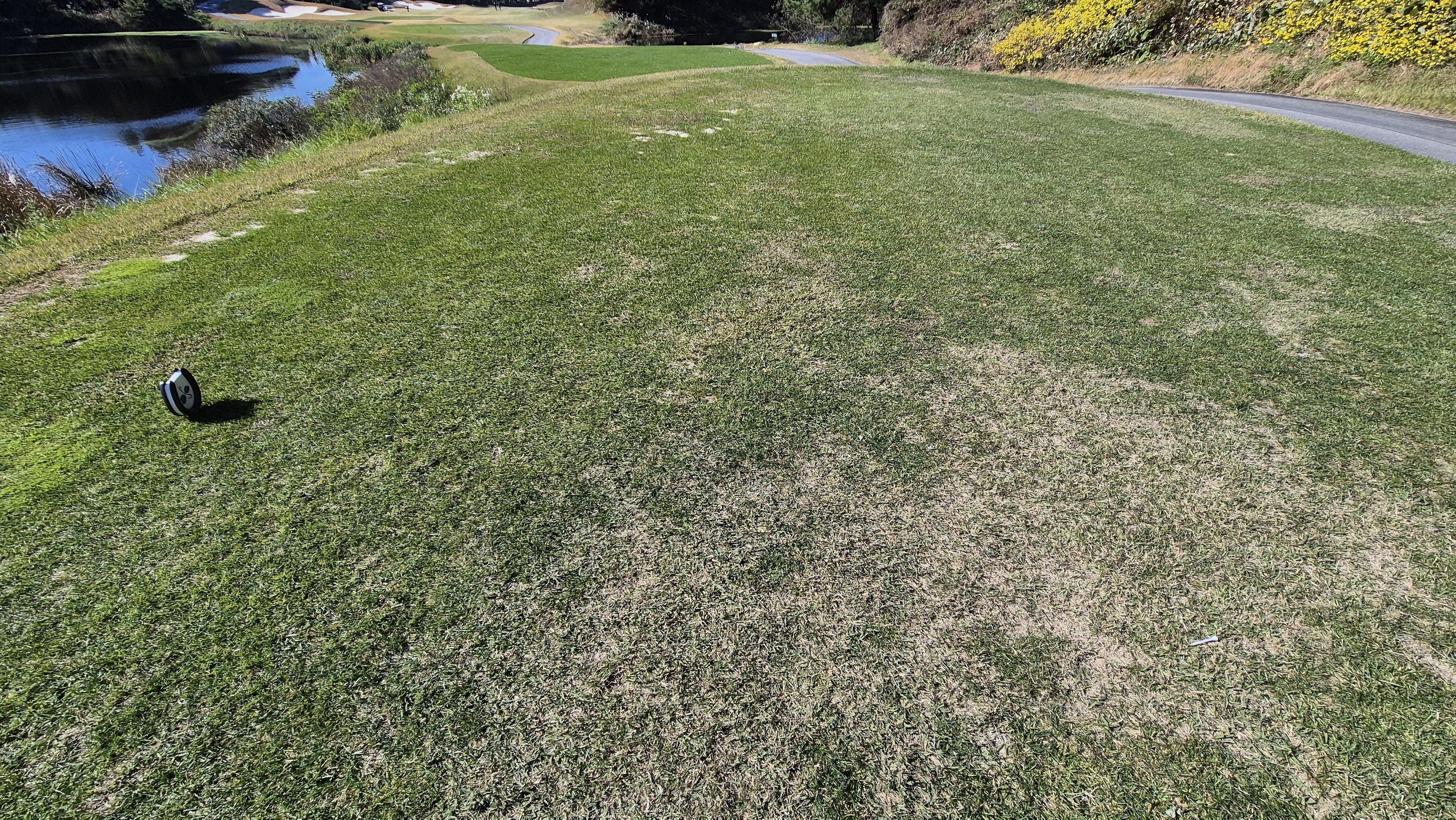 동촌gc 티잉구역 상태