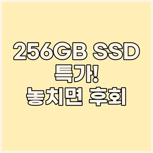 256GB SSD 특가 실리콘파워 A..