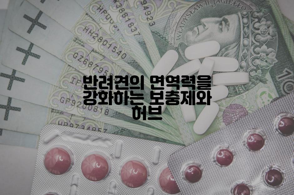 반려견의 면역력을 강화하는 보충제와 허브