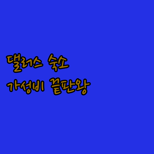 댈러스 여행 숙소 추천 가성비 호텔부..