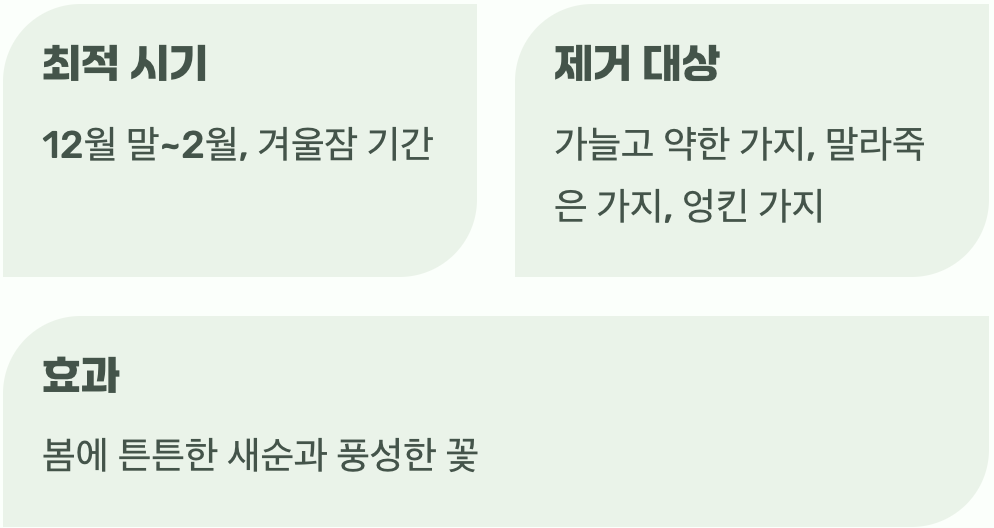 풍성한 꽃을 위한 용감한 이발, 가지치기