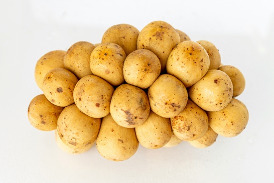 감자, 특성/용도/건강상이점/심는시기/추비/순치기/수확시기/보관법