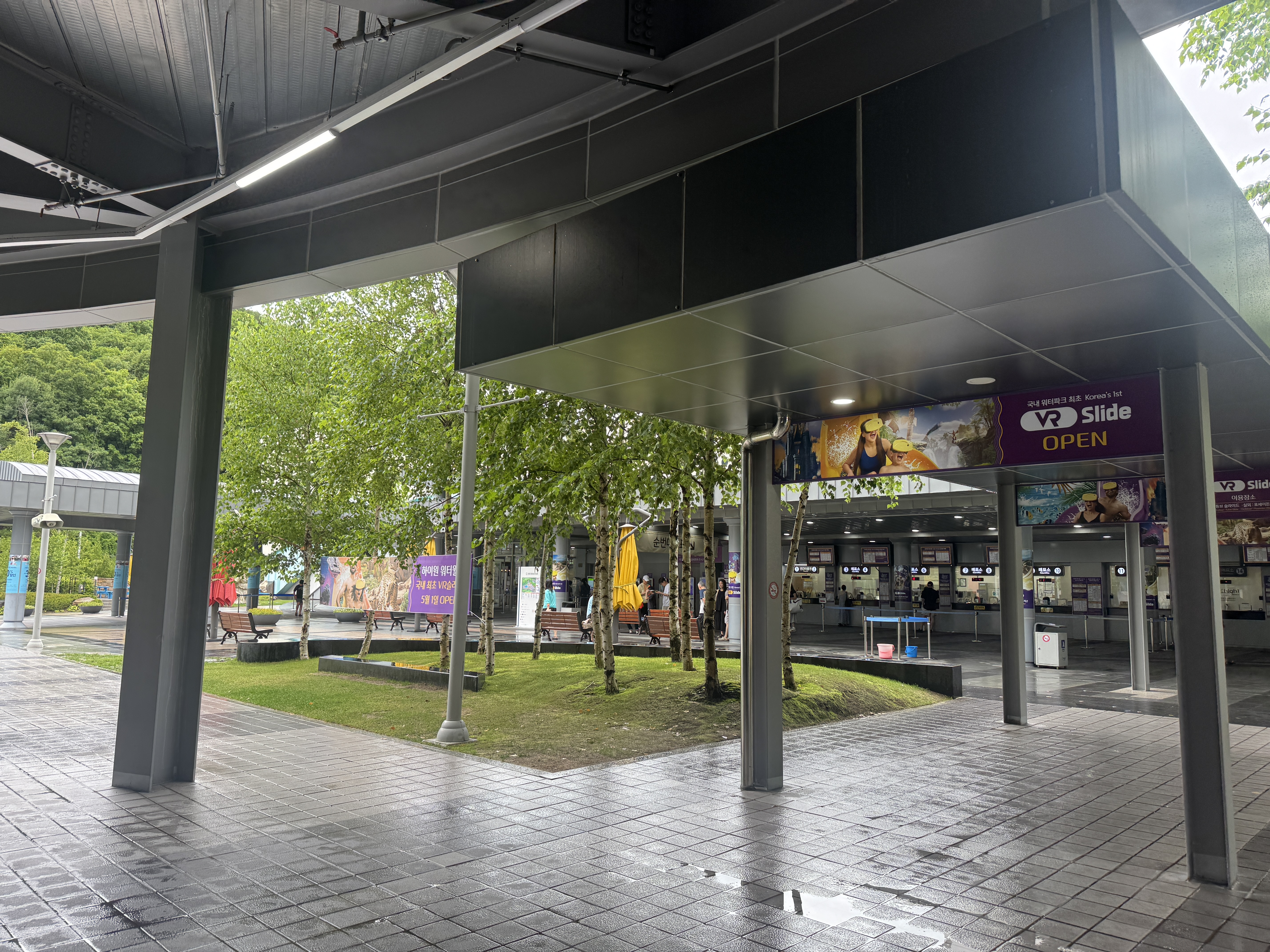 비 오는 날 하이원 워터파크 정문 전경. 우산과 나무들이 보이고&amp;#44; 입구 앞 매표소가 보인다.