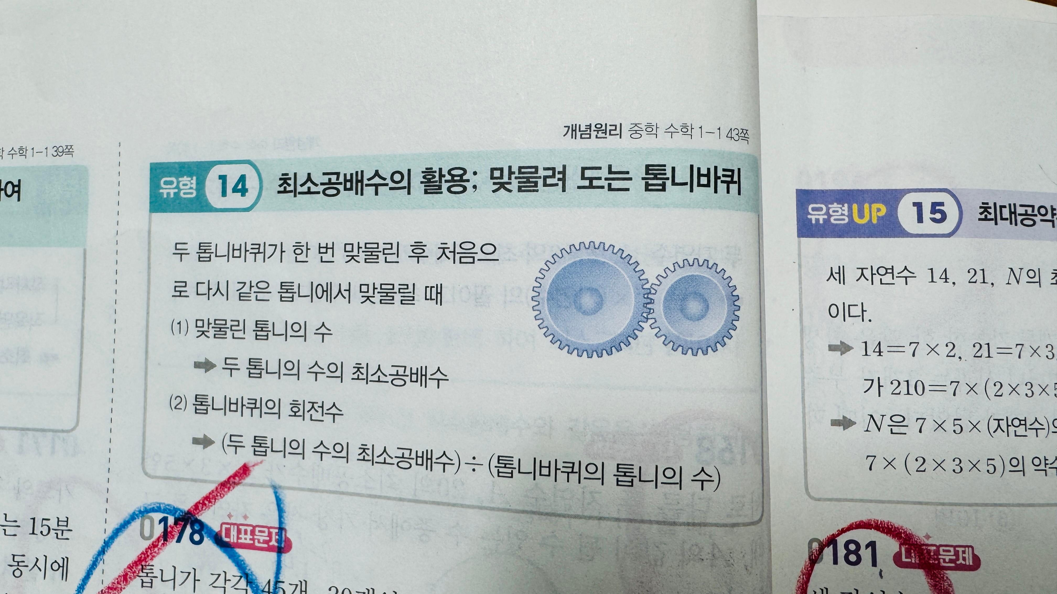 중1 수학 소인수분해 활용 톱니바퀴 타일 문제 초등 연계