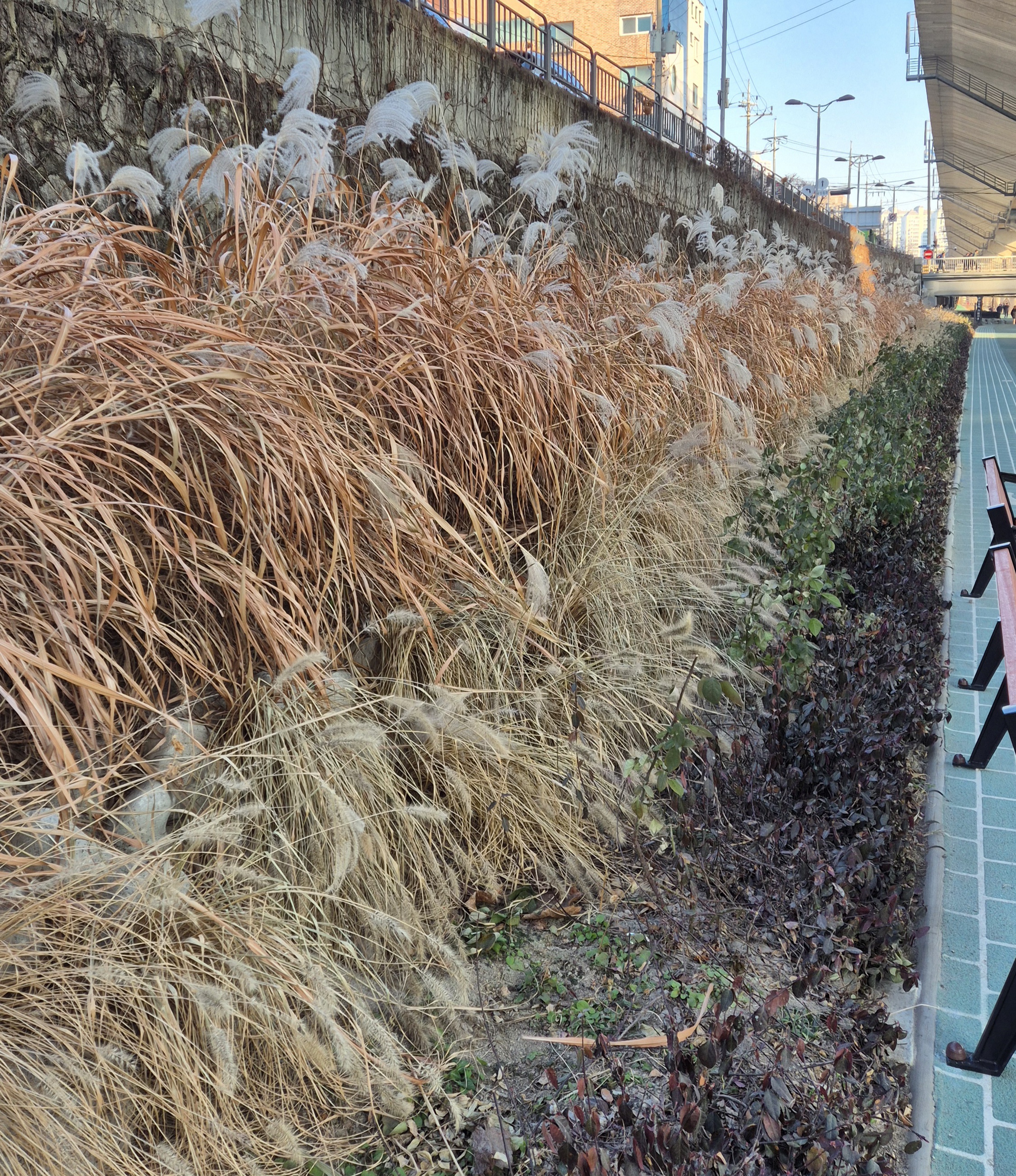 뉴발란스-운동화-13