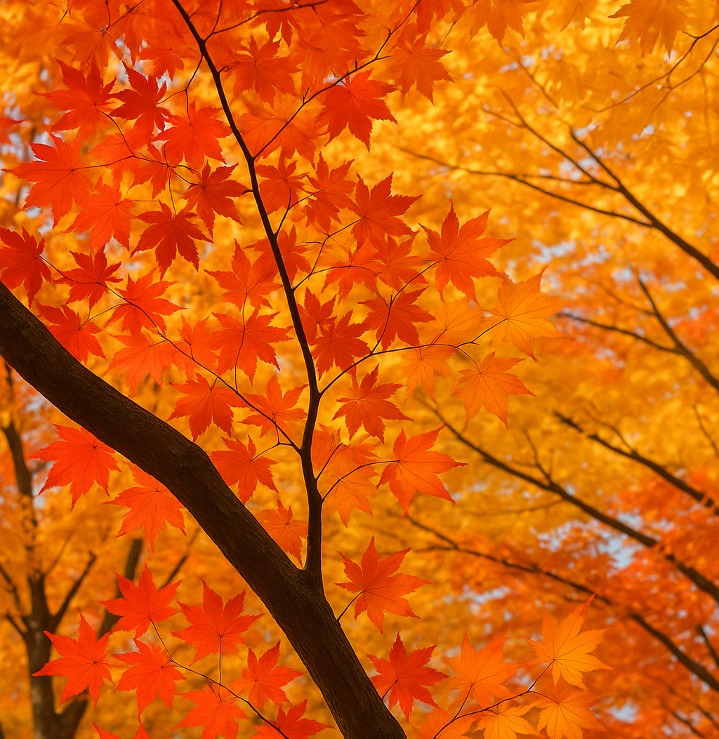 설악산 케이블카 예약