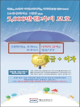 예금자 보호법 1억 시행시기 및 보호 제외 은행으로 핵심정리_20