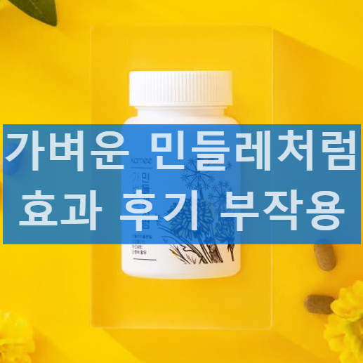 카미 가벼운 민들레처럼 효과 후기 부작용