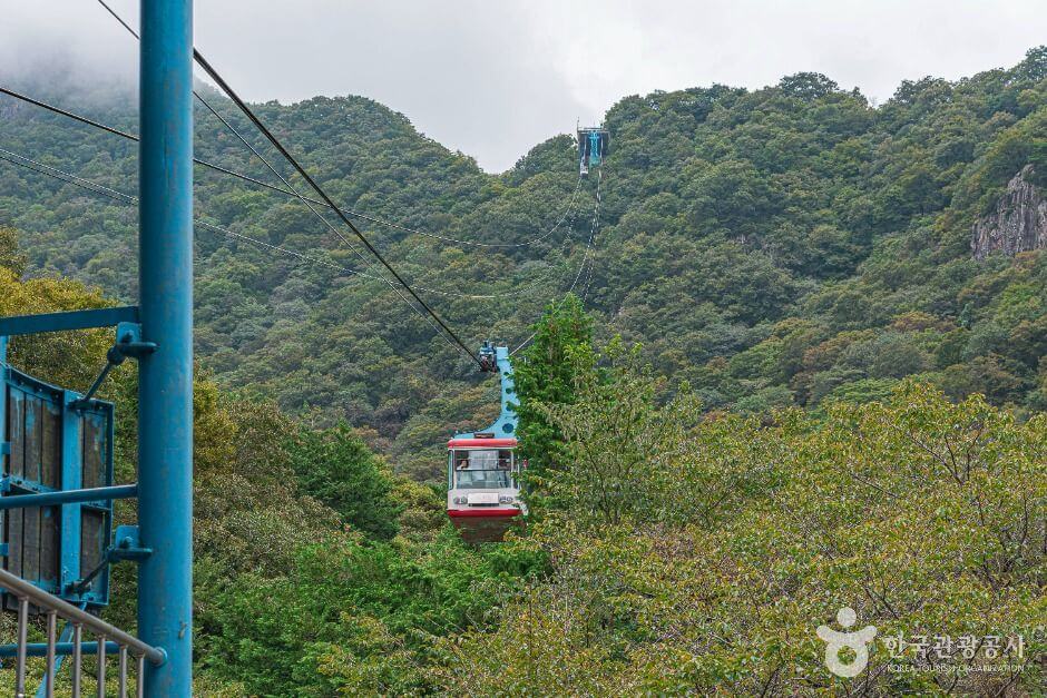 정읍 가볼만한곳 베스트 10