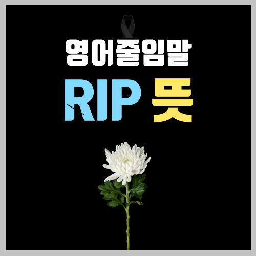 rip뜻