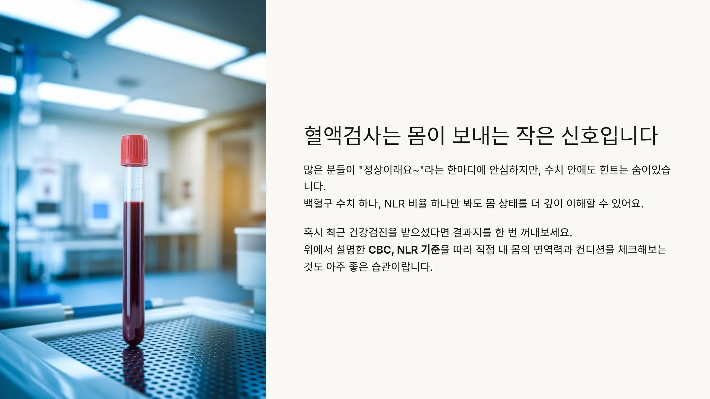 마지막 혈액 검사에 관한 중요성 요약