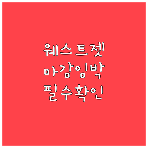 웨스트젯 체크인 마감 시간 확인 필수..