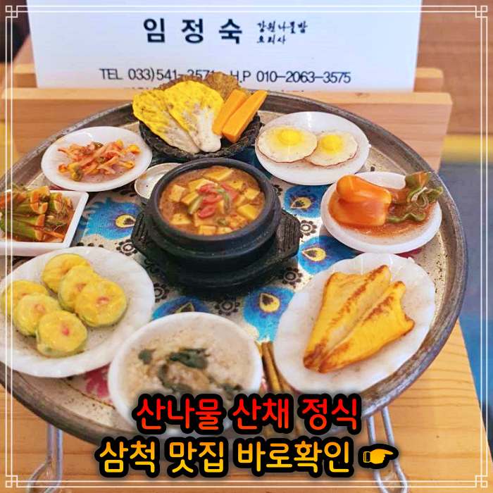 생방송투데이 강원 삼척 산나물 청국장 산채 나물 백반 정식 맛집
