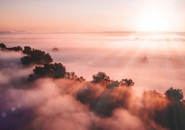 2025년 새해 이미지