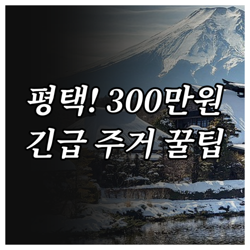 평택시 2025년 위기가정 주거안정 ..