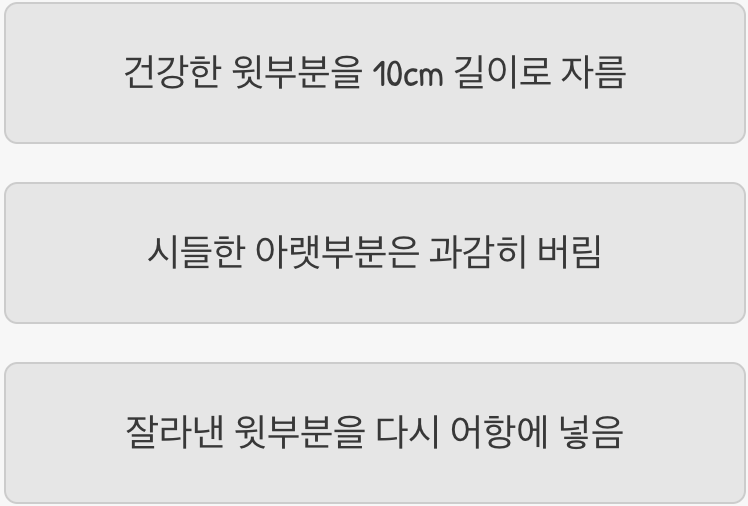 넘치는 성장, '과감한 트리밍'의 즐거움