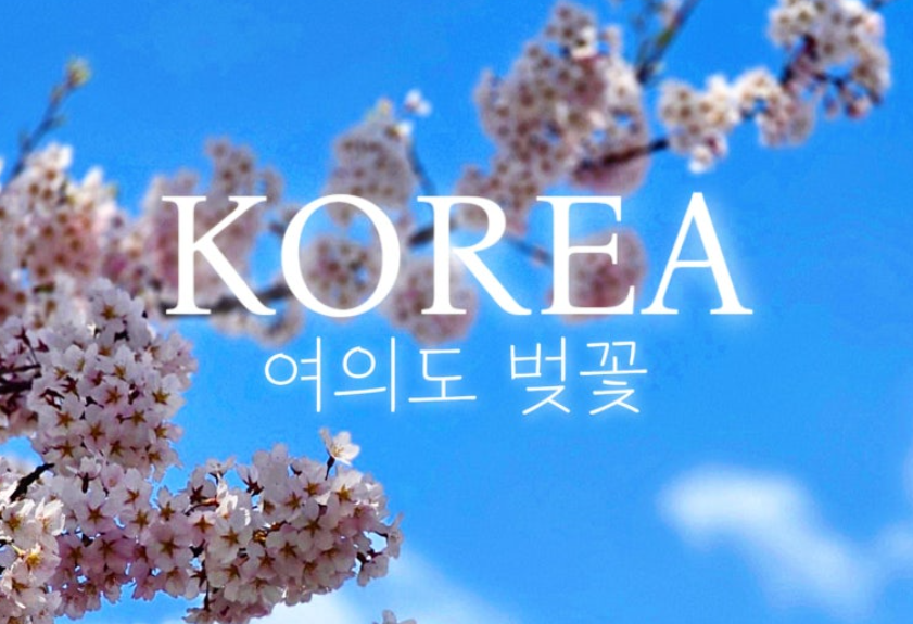 여의도 윤중로
