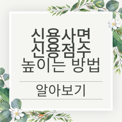 신용사면 후 신용점수 빠르게 높이는 방법 (2025 최신 가이드)