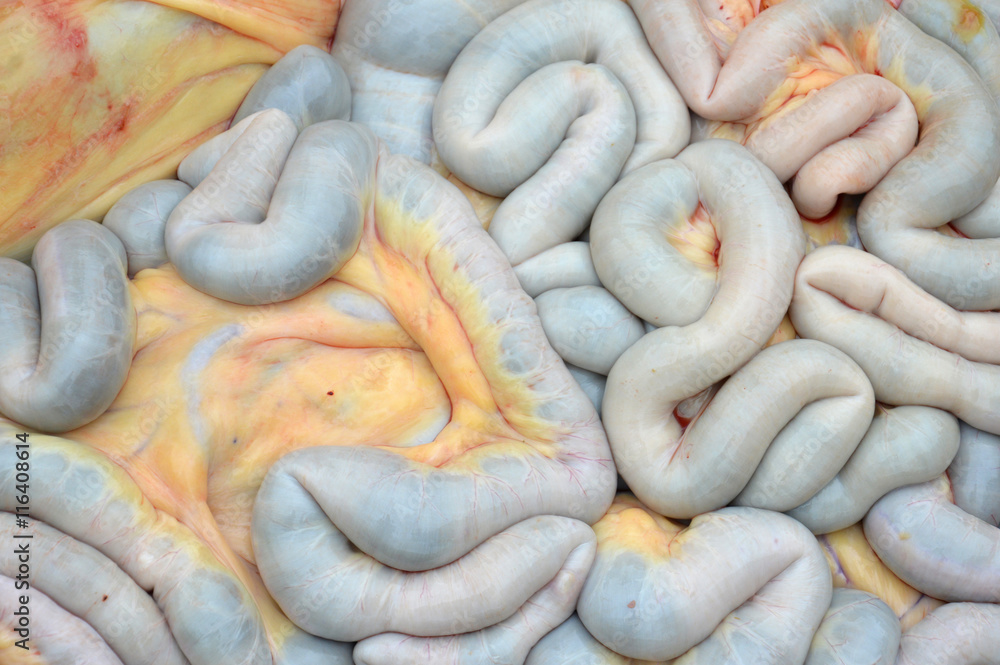 내장지방 건강하게 빼는 방법