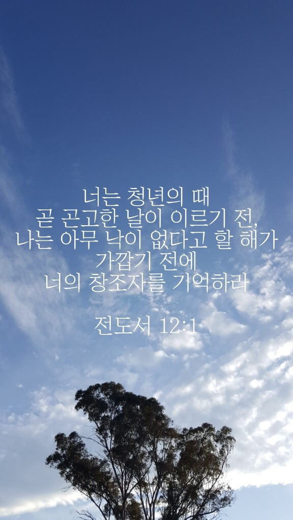 전도서 12장