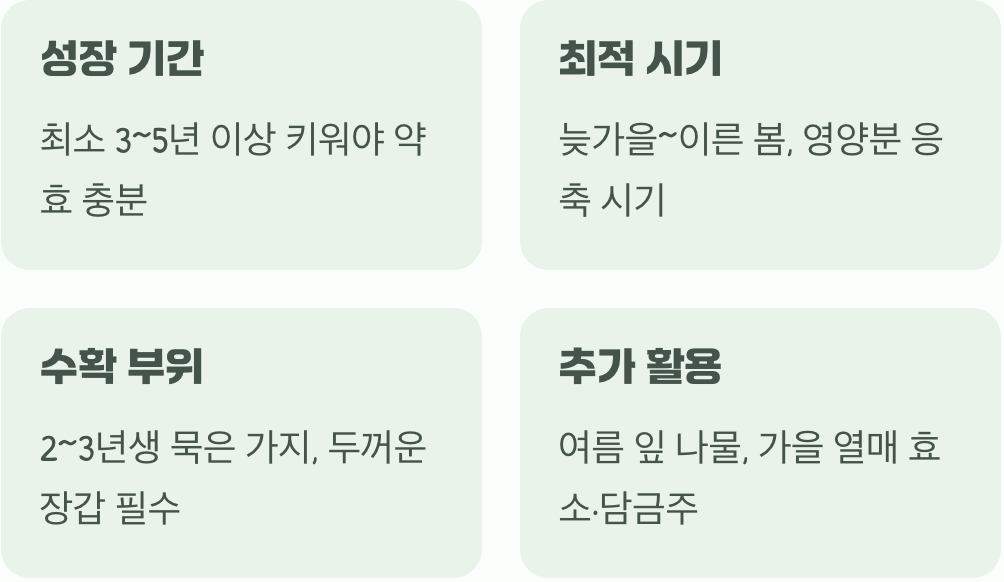 가시 돋친 줄기, 언제 어떻게 거둘까?
