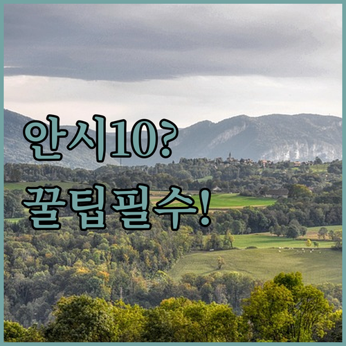 프랑스 안시 호숫가 럭셔리 블랙 배스..