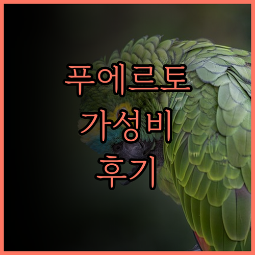 푸에르토 프린세사 셰리든 부티크 호텔