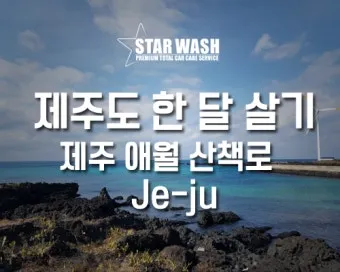 제주도 한 달 살기 아기와 함께하는 특별한 여행 준비 팁_10