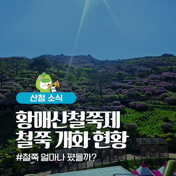 [5월 축제]2025 산청 황매산 철쭉제❘개요, 체험 프로그램 예약, 철쭉 실시간 개화상황