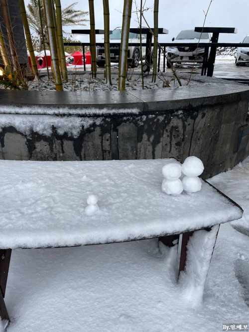 제주 서귀포 카페-맛집-오션뷰-성산