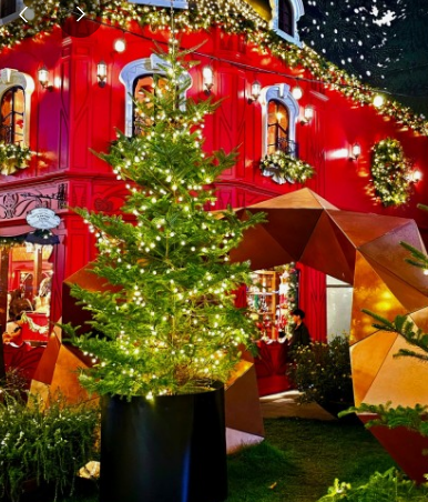 2024 수도권 크리스마스 명소 가볼만한곳