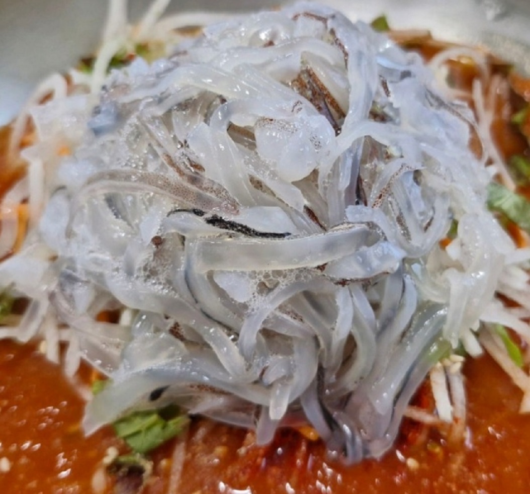 전현무계획-속초-산오징어물회-4시간운영